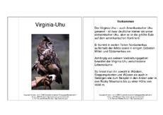 Mini-Buch-Virginia-Uhu-Steckbrief.pdf